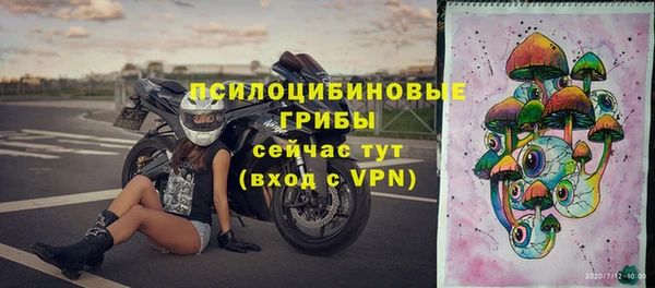 гашик Богородск
